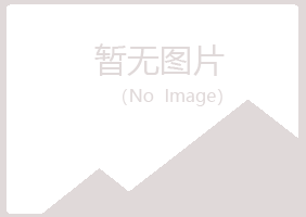 韩城匆匆会计有限公司